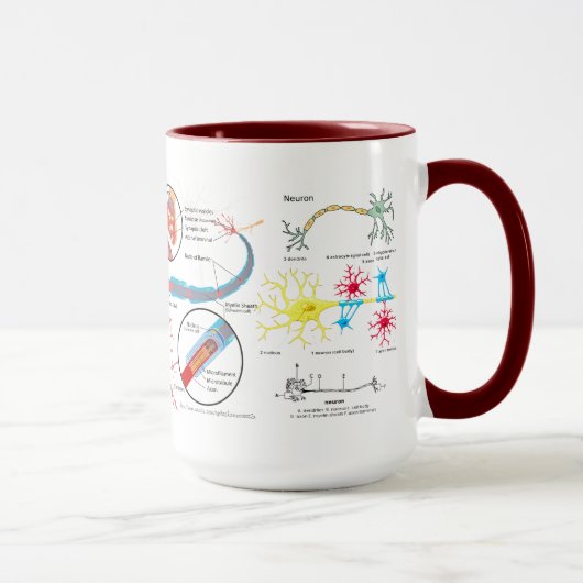 "Neuron-Verbindung? " Tasse (Rechts)