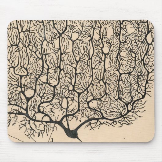 Neuron Zeichne von Santiago Ramón Y Cajal Mousepad (Vorne)