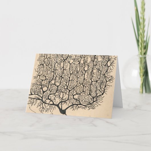 Neuron Zeichnend von Santiago Ramón Y Cajal Karte (Vorderseite)