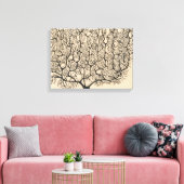 Neuron Zeichnend von Santiago Ramón Y Cajal Leinwanddruck (Insitu (Wohnzimmer))