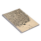 Neuron Zeichnend von Santiago Ramón Y Cajal Notizblock (Rechte Seite)