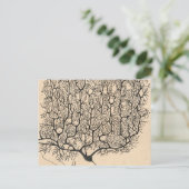 Neuron Zeichnend von Santiago Ramón Y Cajal Postkarte (Stehend Vorderseite)