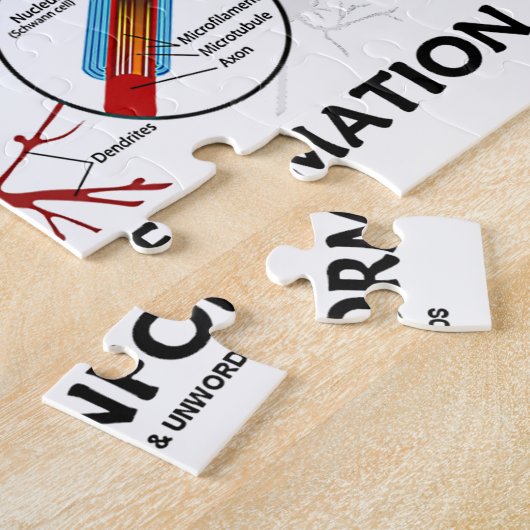 Neuronale Ensemble Encoding Information Neuron Puzzle (Seite)