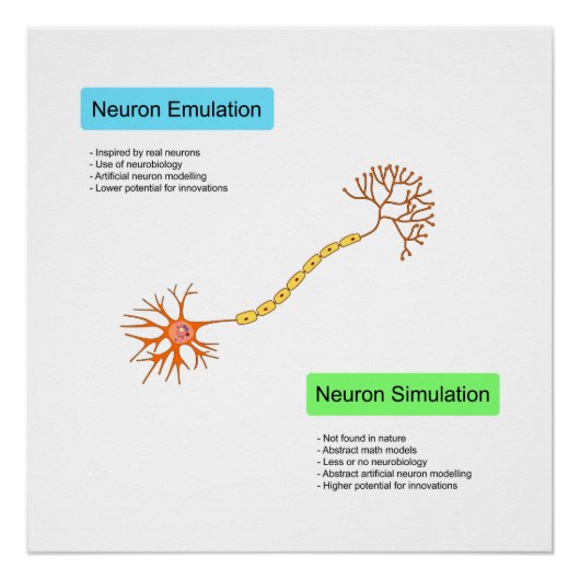Neuronen Poster (Vorderseite)