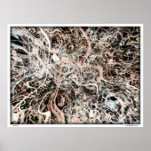 Neuronen Poster (Vorne)