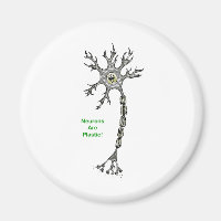 Neuronen sind Plastik!