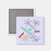 Neuronen und Glias Magnet (Vorderseite/Rückseite)