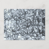 Neurons Postkarte (Vorderseite)