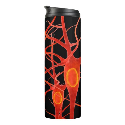 Neuronsneuronale,3d,Anatomie,axon,bio,biologisch,b Thermosbecher (Nach rechts gedreht)
