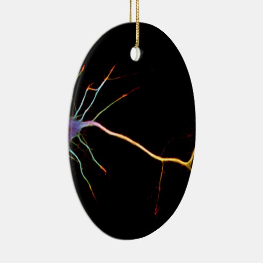 Neuroscience, neuron, science, keramik ornament (Rechts)