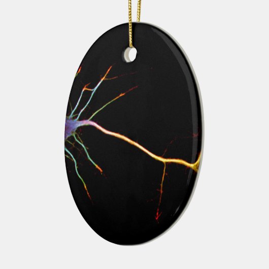 Neuroscience, neuron, science, keramik ornament (Links)