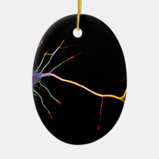 Neuroscience, neuron, science, keramik ornament (Vorne)