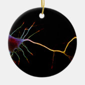 Neuroscience, neuron, science, keramik ornament (Vorne)