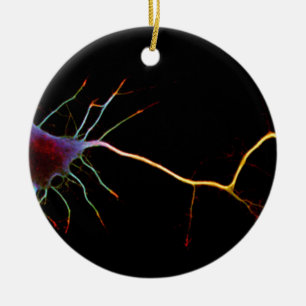 Neuroscience, neuron, science, keramik ornament