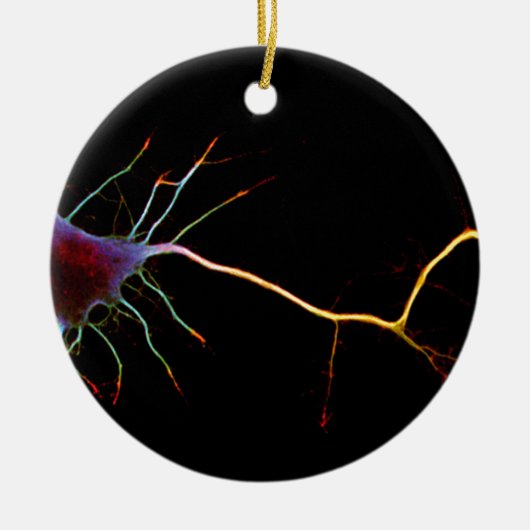 Neuroscience, neuron, science, keramik ornament (Vorne)
