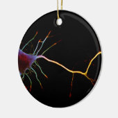 Neuroscience, neuron, science, keramik ornament (Links)
