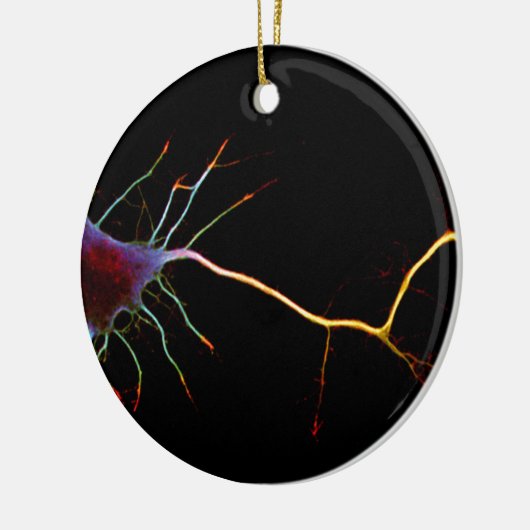 Neuroscience, neuron, science, keramik ornament (Links)