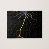 Neuroscience, neuron, science, puzzle (Horizontal)