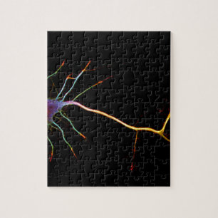 Neuroscience, neuron, science, puzzle