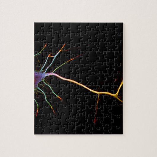 Neuroscience, neuron, science, puzzle (Vertikal)