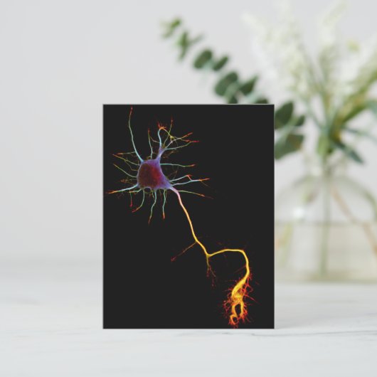Neurowissenschaften, Neuronen, Wissenschaft Postkarte (Stehend Vorderseite)