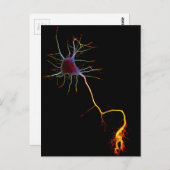 Neurowissenschaften, Neuronen, Wissenschaft Postkarte (Vorne/Hinten)