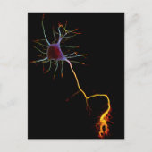 Neurowissenschaften, Neuronen, Wissenschaft Postkarte (Vorderseite)