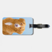 Neuschottland-Enten-läutende Gepäckanhänger (Rückseite horizontal)