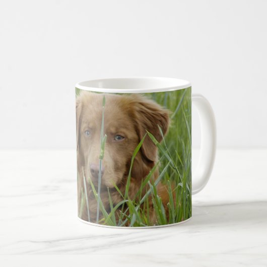 Neuschottland-Enten-läutender Retriever Kaffeetasse (VorderseiteRechts)