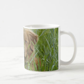 Neuschottland-Enten-läutender Retriever Kaffeetasse