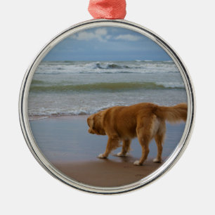 Neuschottland-Enten-läutender Retriever-Ozean Silbernes Ornament