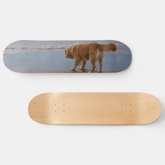 Neuschottland-Enten-läutender Retriever-Ozean Skateboard (Horizontal)