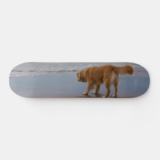 Neuschottland-Enten-läutender Retriever-Ozean Skateboard (Horizontal)