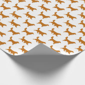Neuschottland-Enten-läutendes Retriever-Packpapier Geschenkpapier (Ecke)