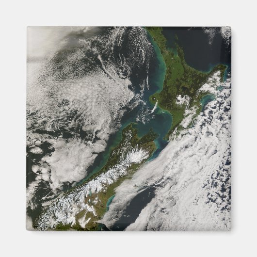 Neuseeland 3 magnet (Vorne)