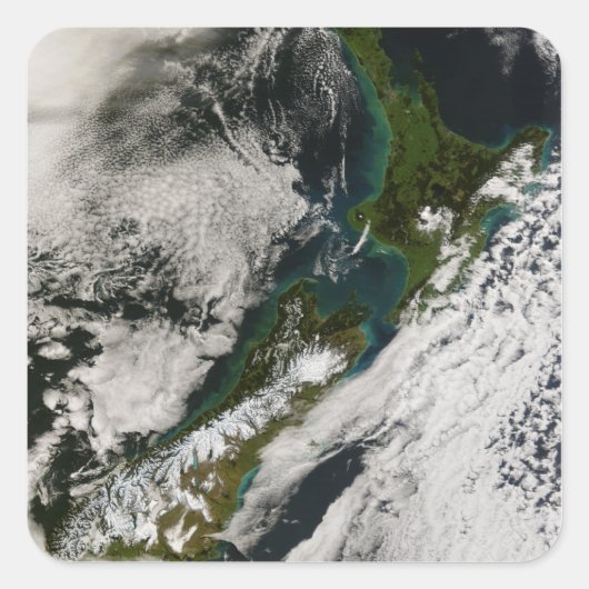 Neuseeland 3 quadratischer aufkleber (Vorderseite)