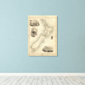 Neuseeland 4 leinwanddruck (Insitu (Holzboden))