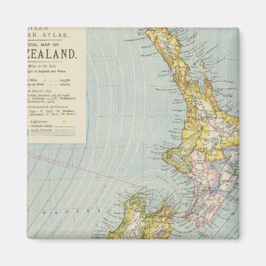 Neuseeland 4 magnet (Vorne)