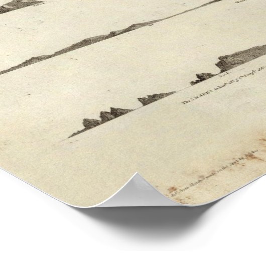 Neuseeland 4 poster (Ecke)