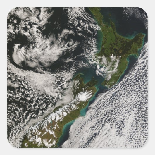 Neuseeland 5 quadratischer aufkleber (Vorderseite)