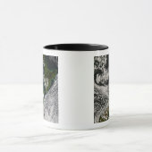 Neuseeland 5 tasse (Zentrum)