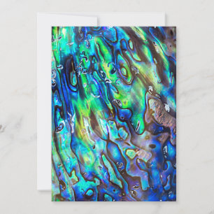 Neuseeland Abalone Paua Muschel Muster 1