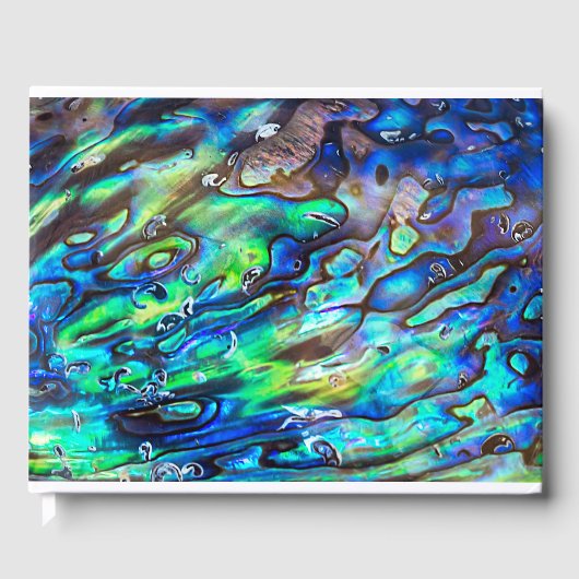 Neuseeland Abalone Paua Muschel Muster 1 Gästebuch (Vorderseite)