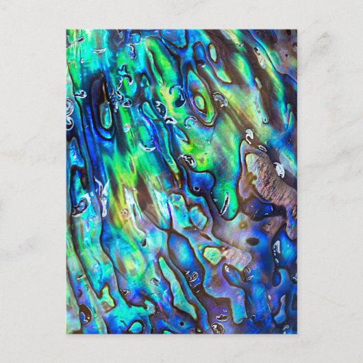 Neuseeland Abalone Paua Muschel Muster 1 Postkarte (Vorderseite)