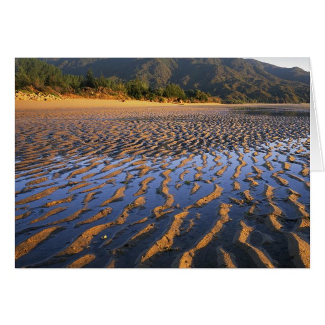 Neuseeland, Abel Tasman National Park, Küste 2 (Vorderseite (Horizontal))