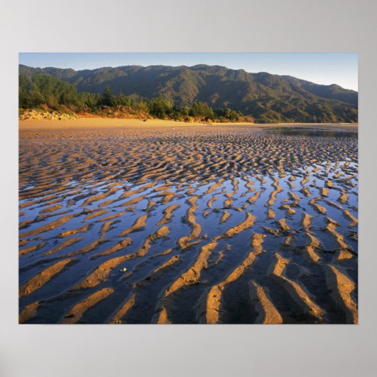 Neuseeland, Abel Tasman National Park, Küste 2 Poster (Vorne)