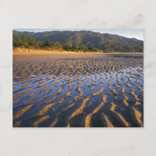 Neuseeland, Abel-Tasman-Nationalpark, Küste 2 Postkarte