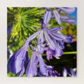 Neuseeland Agapanthus Violet Blume Blühen Puzzle (Horizontal)