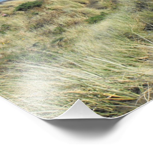 Neuseeland Auckland Summer Piha Beach Fotodruck (Ecke)