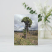 Neuseeland, Cabbage Tree, einheimische Natur Postkarte (Stehend Vorderseite)